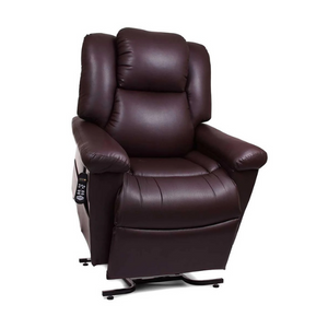 DayDreamer Power Lift Chair Recliner